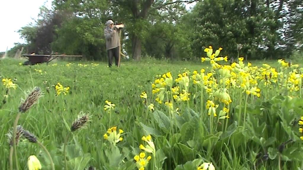 Taming Spring Growth in Meadows