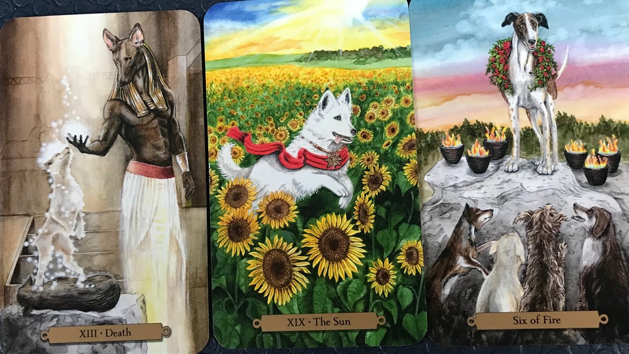 Magical Dogs Tarot-Unboxing/Walkthrough