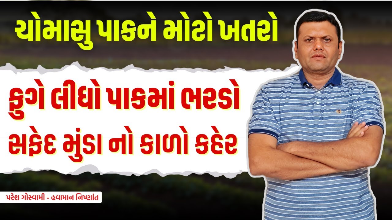 મગફળીના પાકમાં મોટો ખતરો | Big Threat To Groundnut Crop Paresh Goswami