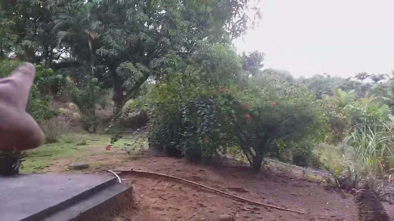 Sitio a venda em Rio das ostras