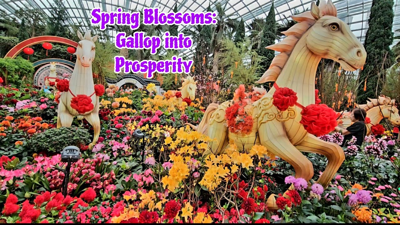 SPRING BLOSSOMS: GALLOP INTO PROSPERITY AT FLOWER DOME GARDENS BY THE BAY