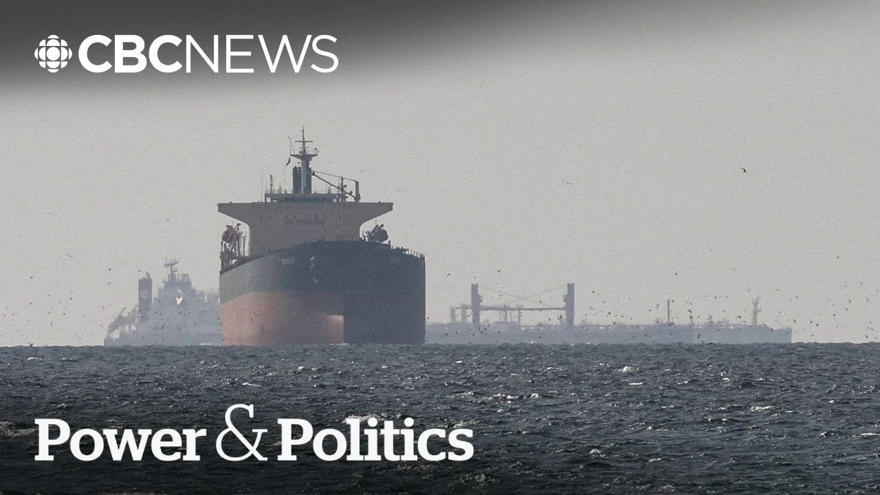 Canada should stay 'far away' from Strait of Hormuz deployment: Former commander | Power & Politics