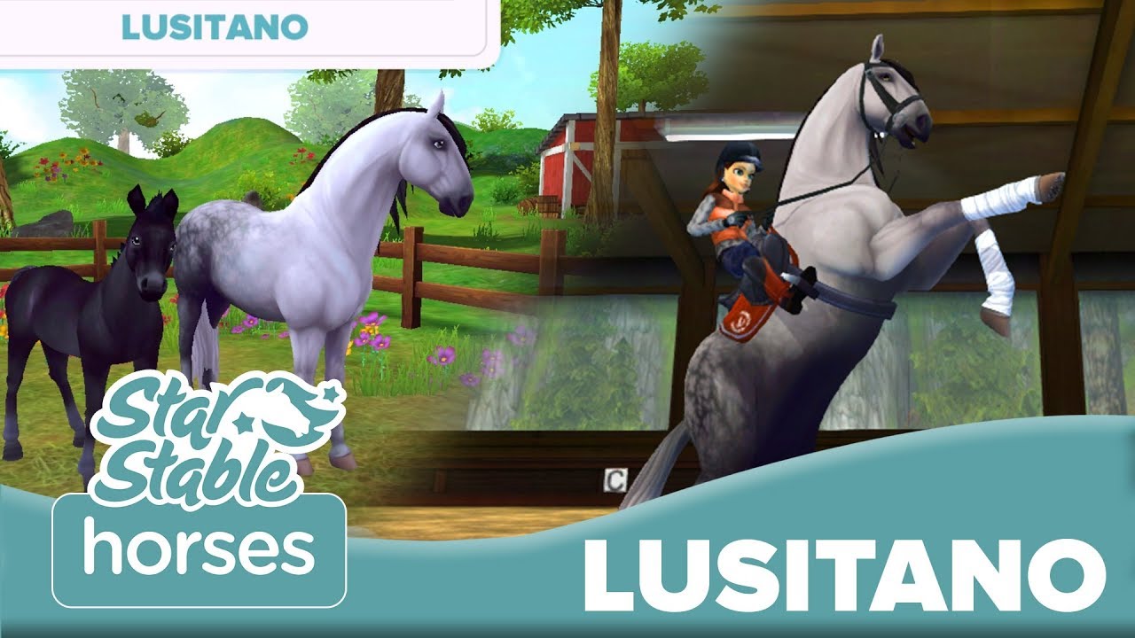 The Lusitano #LovelyLusitanos 🐴❤️ | Star Stable Horses App