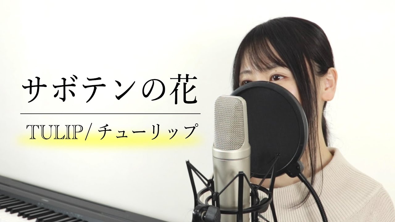 サボテンの花 〜ひとつ屋根の下より〜 / チューリップ（財津和夫）【Macro Stereo】