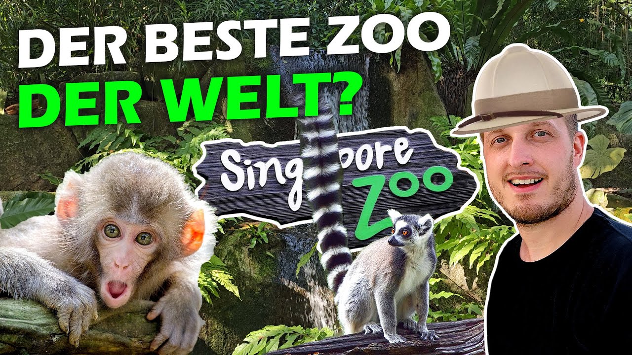 Der beste Zoo der Welt?! 🇸🇬 Singapur Zoo 🌏 Weltreise 2024 - Tag 43 | Travel Vlog #41