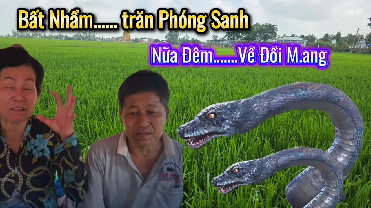 Đớn Đau. Người Đàn Ông Bất Nhầm Trăn Phóng Sanh Nay Vở Nhà Đi Gấp Vì Trăn Về Đồi M.ạng Trong Đêm 