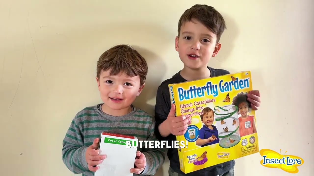 Unboxing the Butterfly Garden with Voucher from Insect Lore