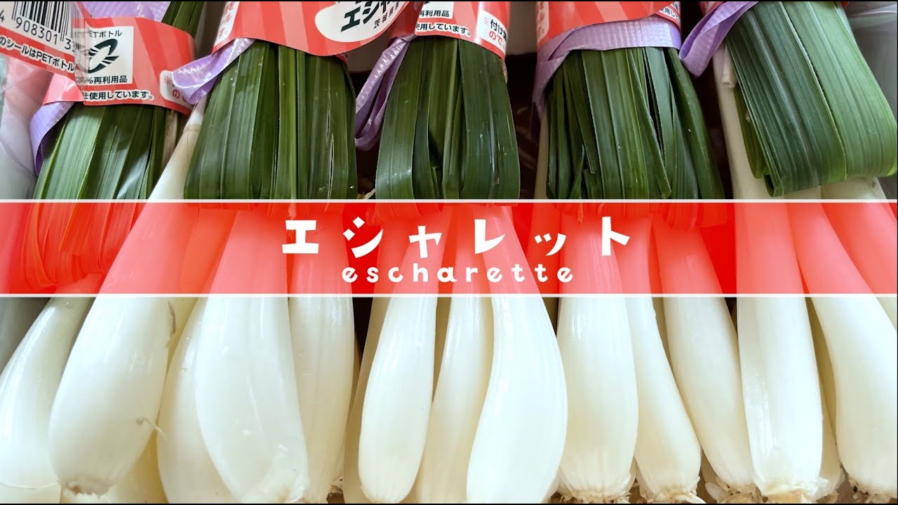 日本トップクラスのエシャレット