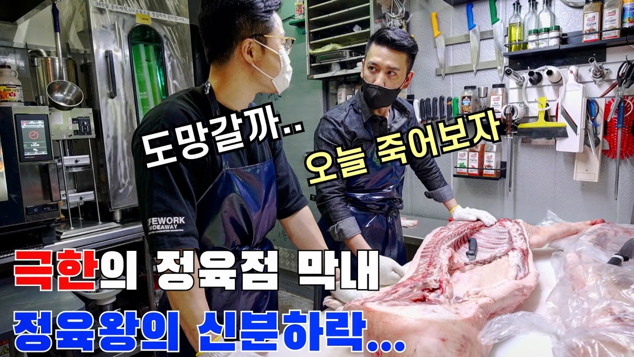 정육점 막내로 취직했는데.. 돼지발골 3마리 도망갈까.. [정막내]
