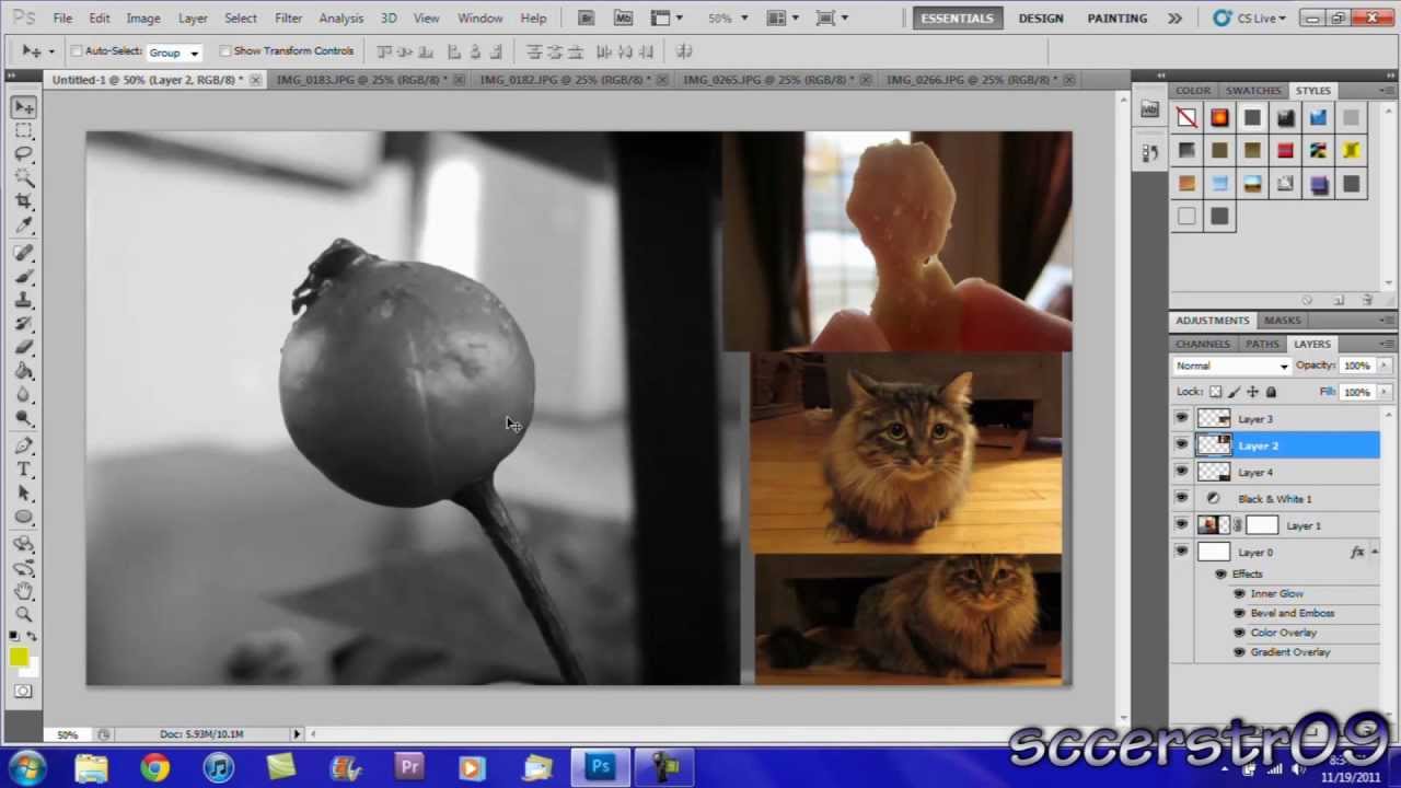 Учебное пособие по Adobe Photoshop CS5: базовое редактирование