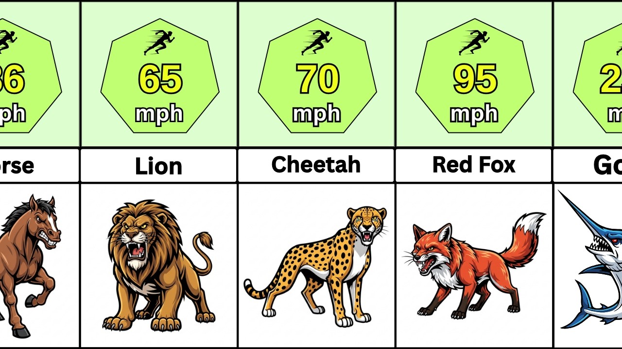 100 Fastest Animals in the World  Complete Speed