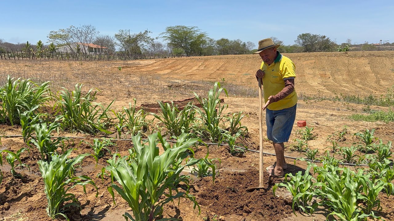 Enfrentando a seca no sertão nordestino 