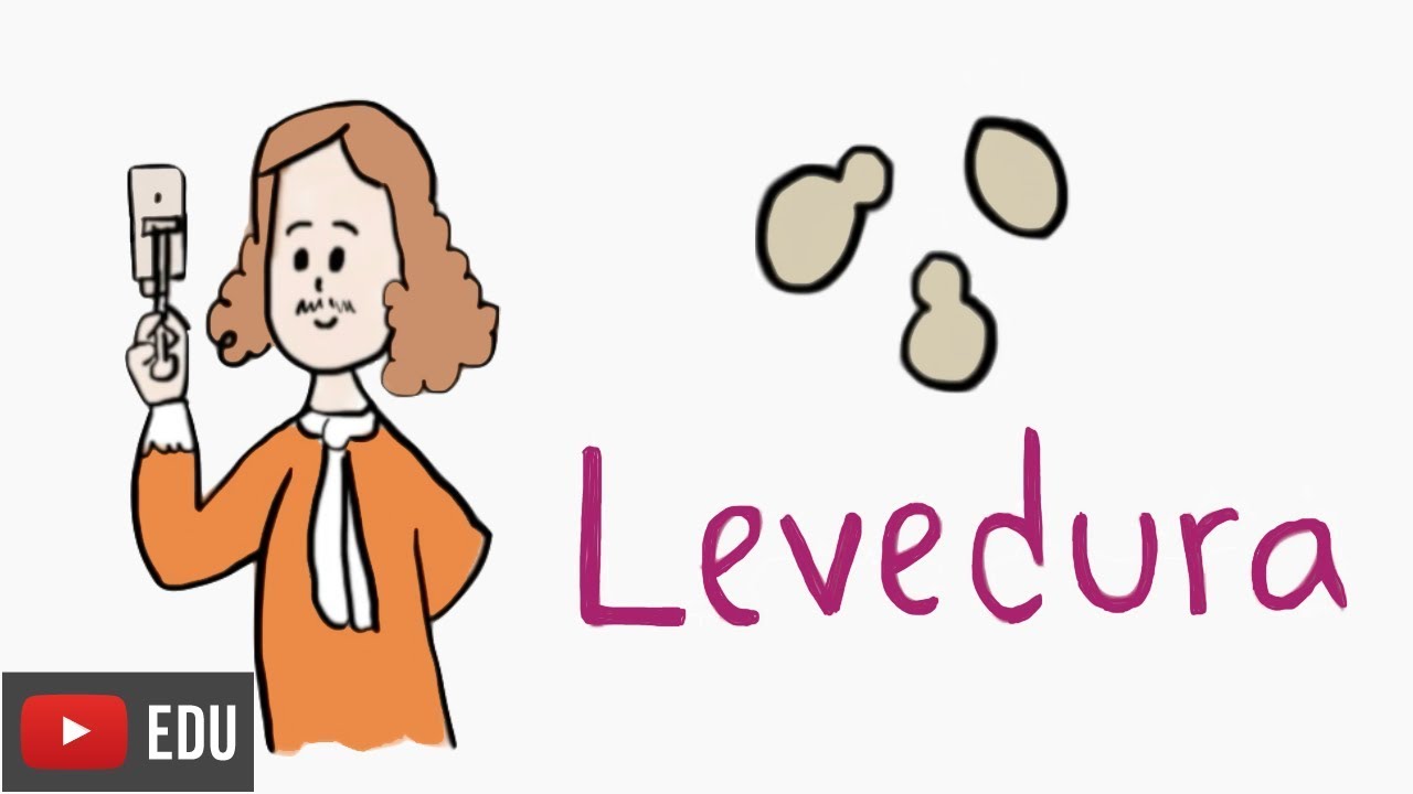 Voc&ecirc; sabia que leveduras n&atilde;o servem s&oacute; para fazer p&atilde;o? #InstanteBiotec 68