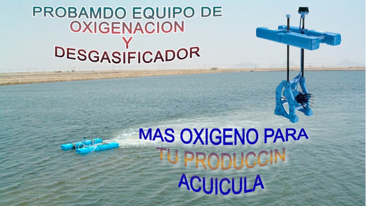 COMO INSTALAR FORZE7 ACQUAECO trifasico a monofasico 220Vol#acuicultura #tecnicos #autosostenible