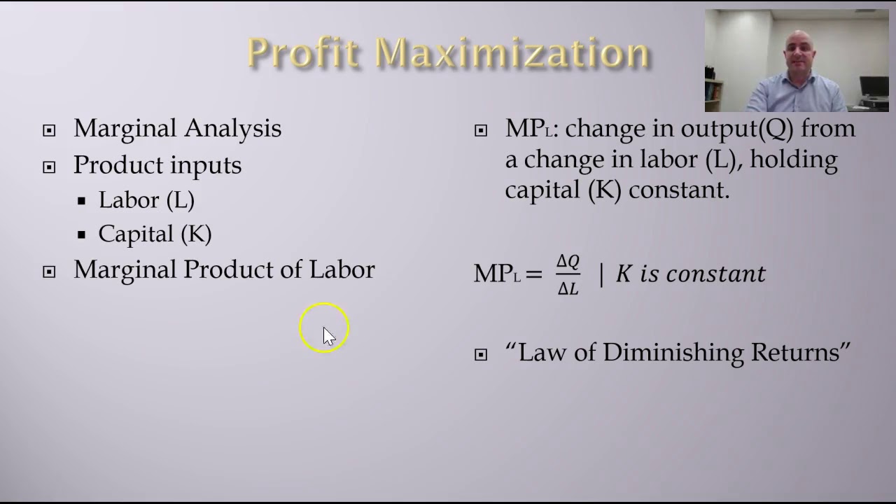 Labor Economics - Labor Demand: Marginal Analysis