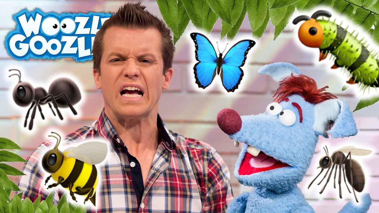 Wie viele Insekten gibt es? l WOOZLE GOOZLE