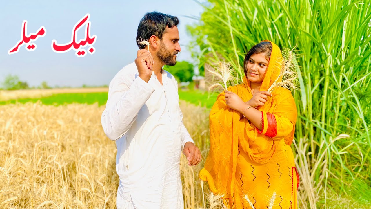 BLACKMAILAR/NEW PANJABI CULTURE DRAMA/AHMAD SHER OFFICIAL TEAM/NEW 2025