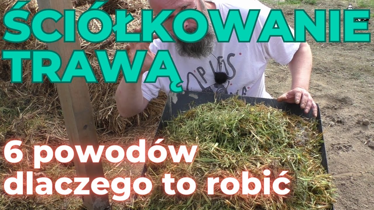 Ściółkowanie trawą - 6 powodów dla których warto to robić
