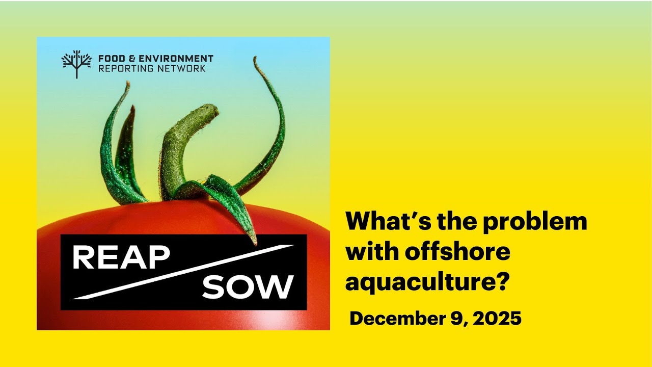 What’s the problem with offshore aquaculture?