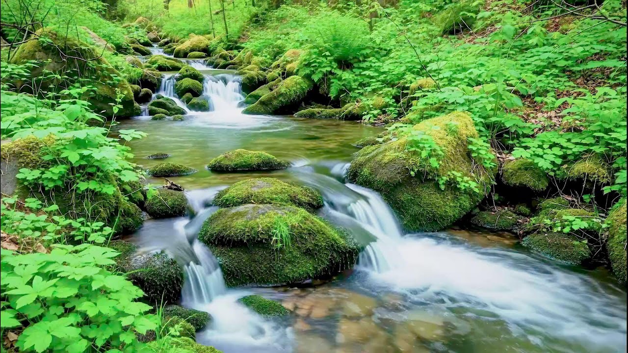 Gentle River Sound for Deep Sleep | Soothing Audio Therapy for Mental Wellness