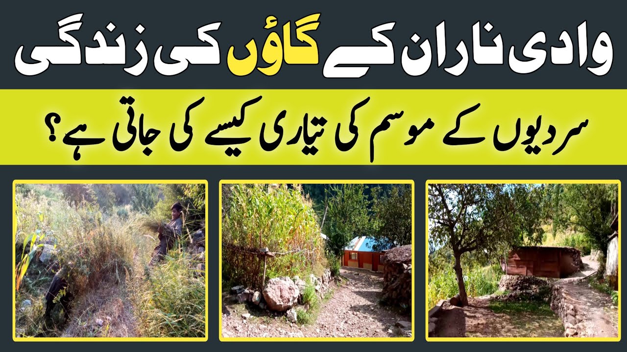 Naran valley village life | Naran ke log sardeion me barf me keya kerte Hain | grass cutting season