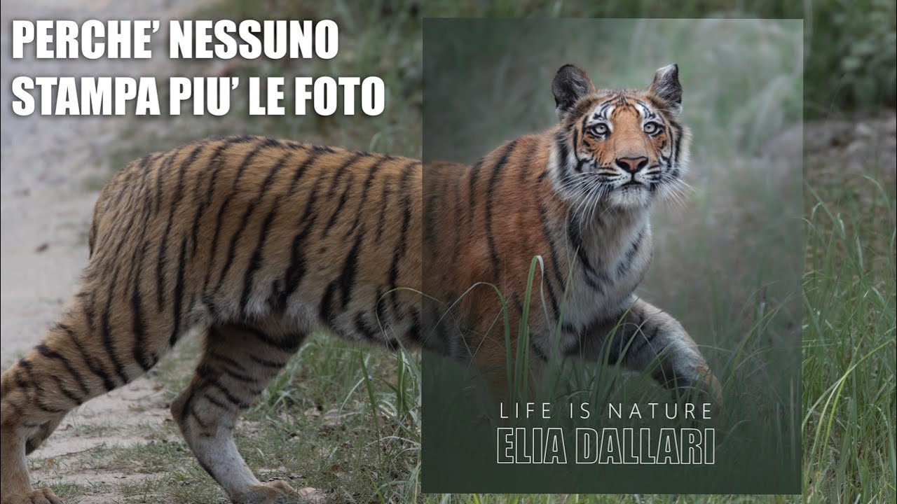 Perché abbiamo smesso di stampare le nostre foto?