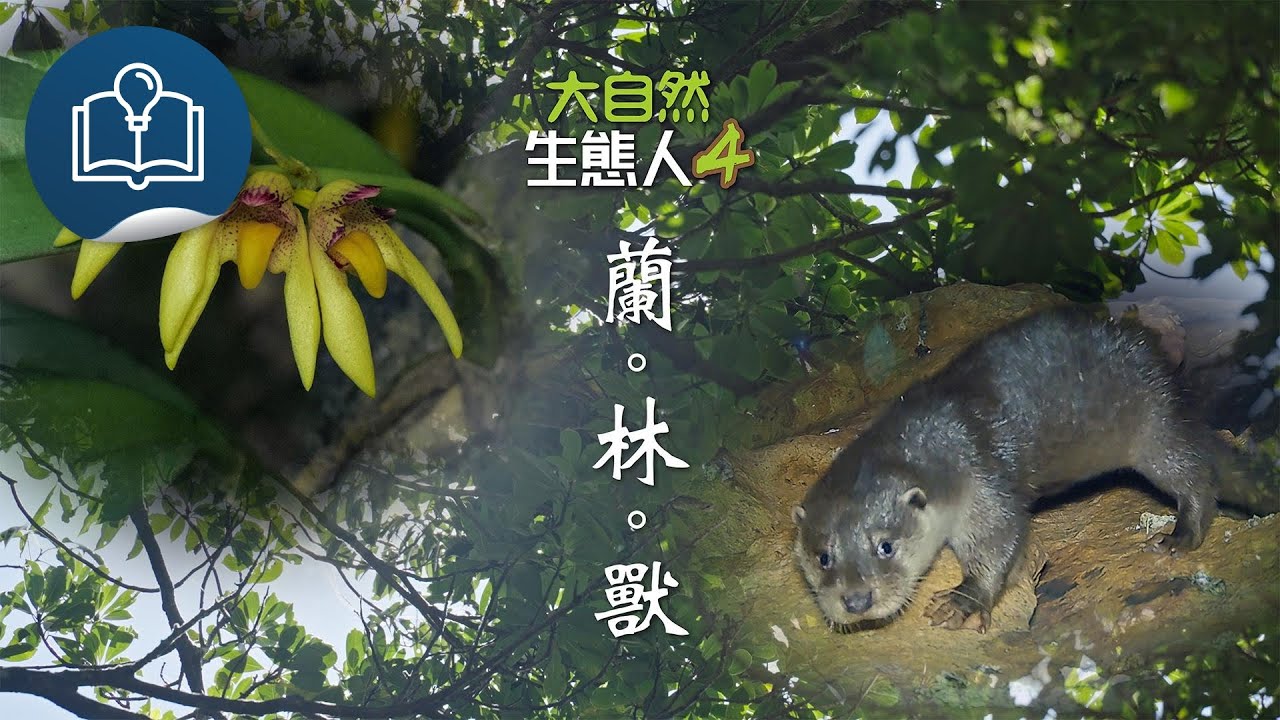 大自然  生態人4：蘭林獸