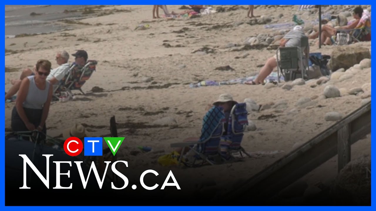 Massive shark fin spotted near Nova Scotia beach