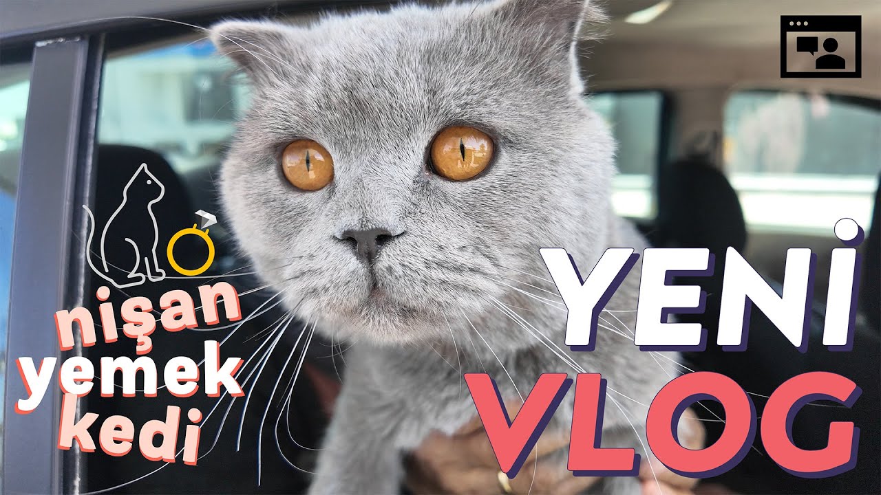 🎉 Kardeşim Nişanlandı! + Tavuk Dünyası Ziyafeti 🍗 | 5 Günlük Vlog #2