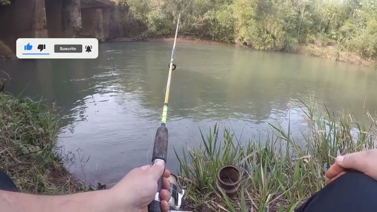 El frio nos juega una mala pasada- Pescamos en la selva.. 🐟