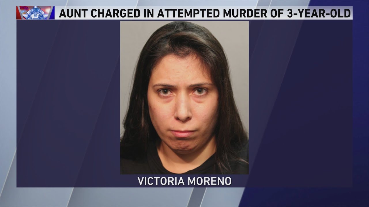 Woman charged after 3-year-old nephew pushed into Lake Michigan: police