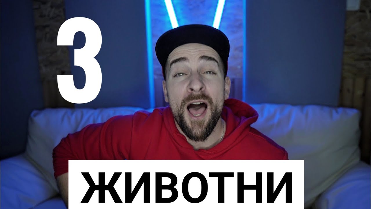 Кој те праша?! - Животни 3