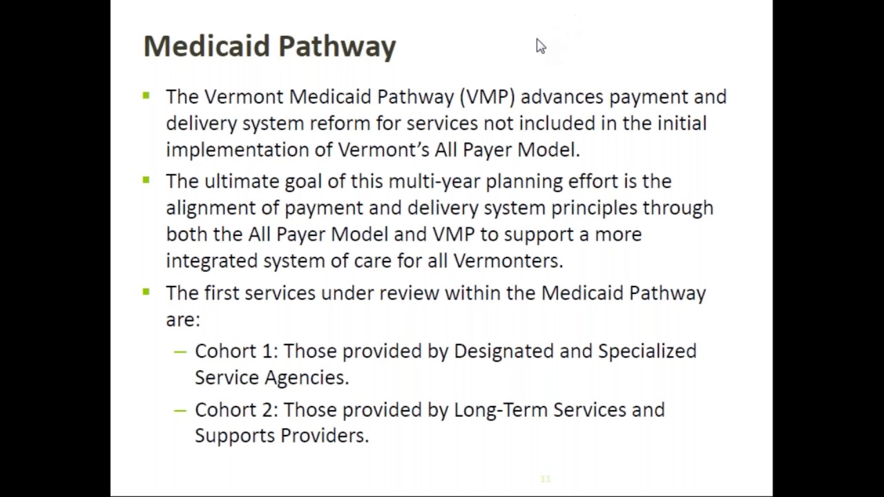 Delivery System Reform Investment Application Webinar