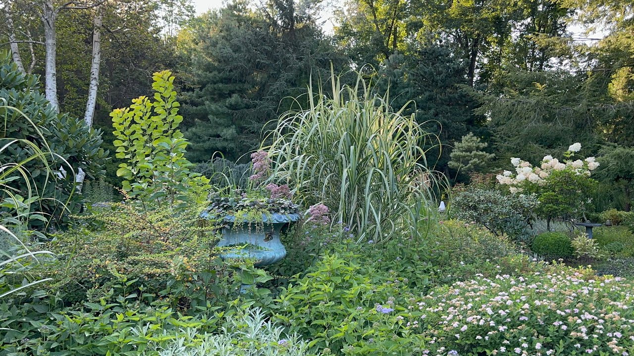 Oh Lord, Bless This Land! (August Garden,  8/11-23/2023)