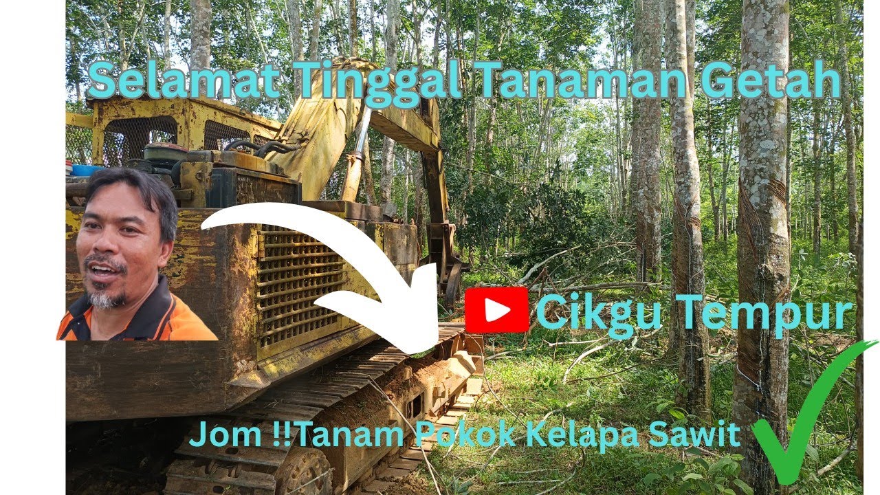 Ep 162: Selamat Tinggal Tanaman Getah...I'm back Terima Kasih Terus Support Cikgu Tempur