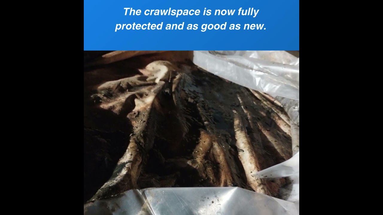 Crawlspace Sewage Cleanup: How We Restored an Atlanta Home