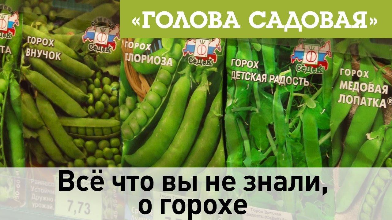 Голова садовая - Всё что вы не знали, о горохе