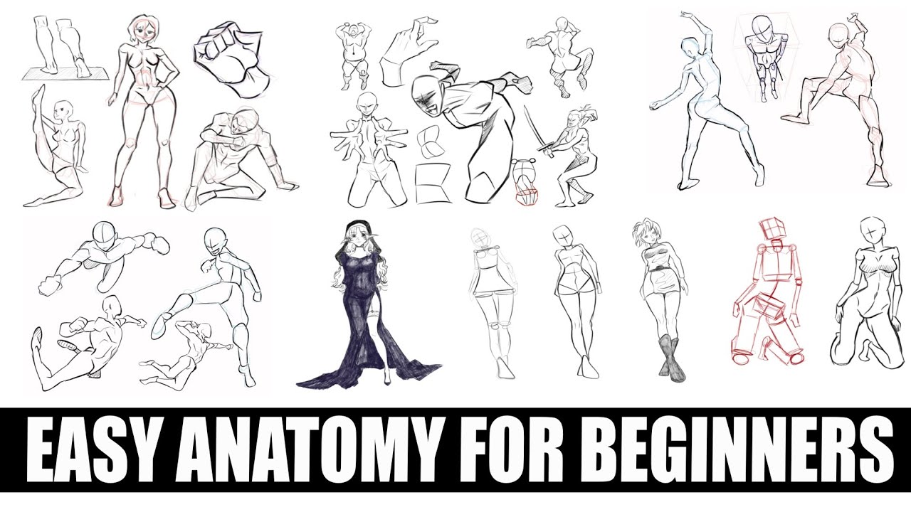Easy anatomy drawing for beginners || Anatomy study 