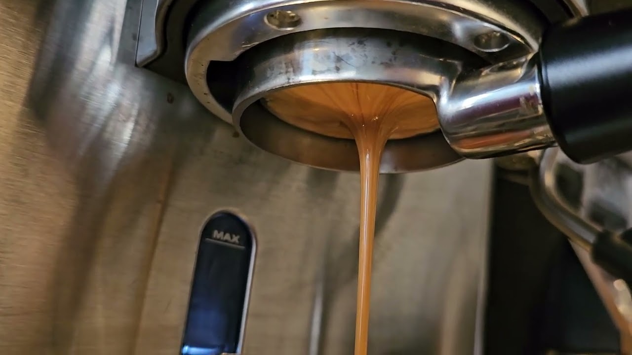 Tommy Cafe Monsooned Malabar.