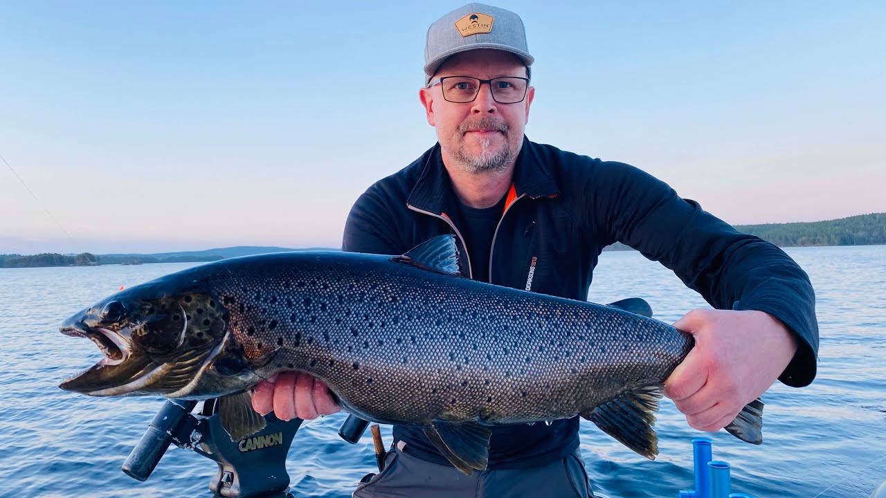 Trolling efter storöring