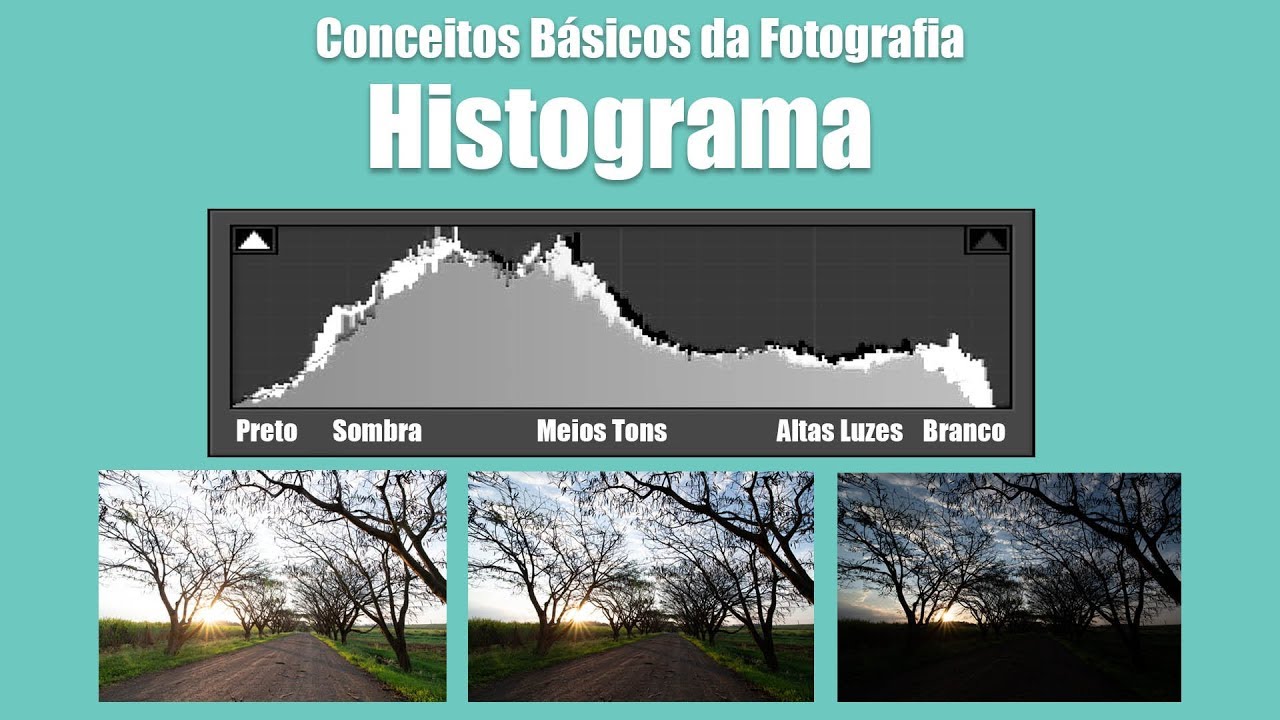 Conceitos Básicos da Fotografia: Histograma