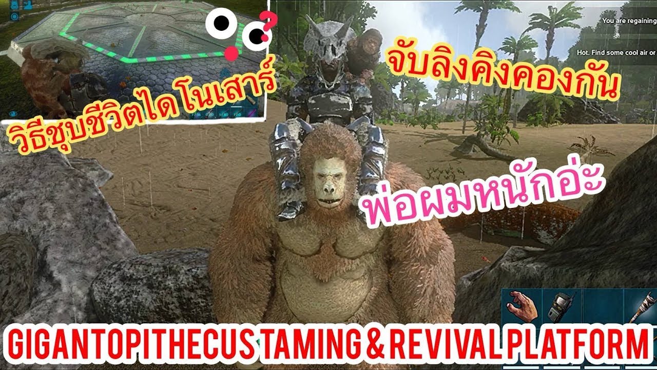 ARK Mobile มือถือ EP45 จับลิงคิงคองและสอนวิธีชุบชีวิตไดโนเสาร์ [Gigantopithecus & #RevivalPlatform]
