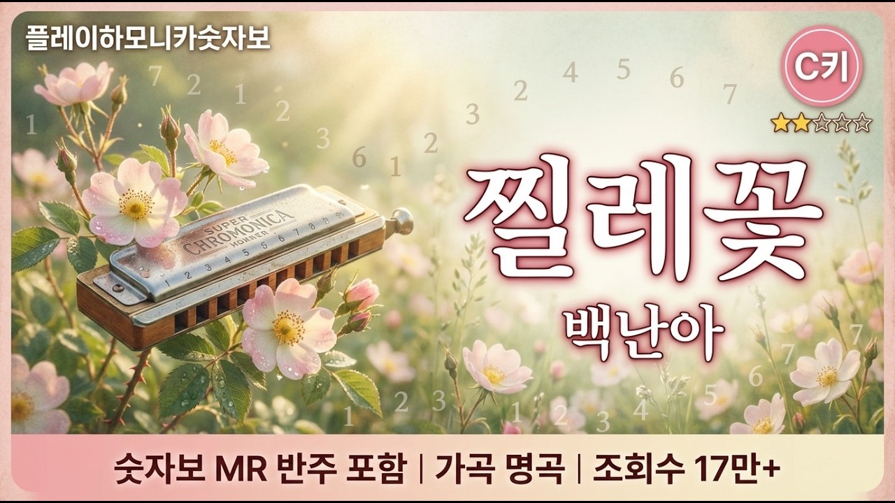 찔레꽃 백난아 C키 하모니카 숫자보 ★★☆☆☆ | MR 반주 포함 | 가곡 명곡 | 플레이하모니카숫자보