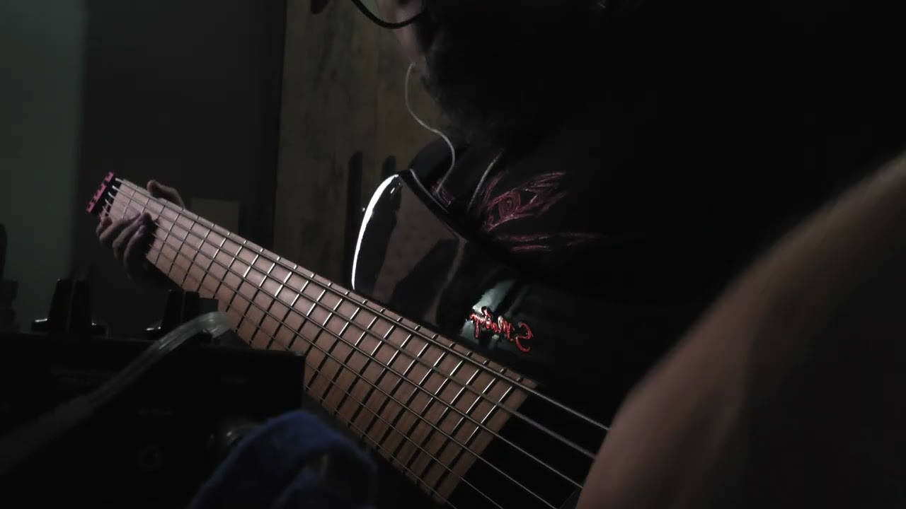 S.Martyn Custom Basses Blaze Singlecut on Darkglass Infinity