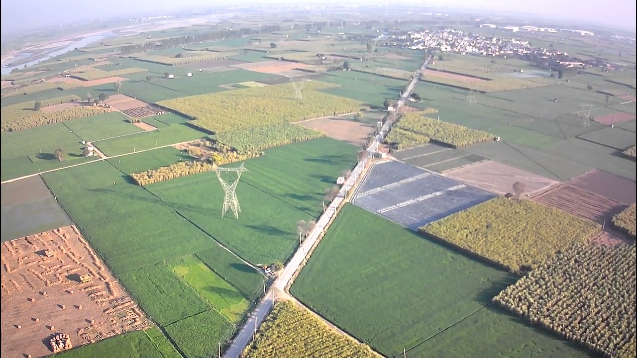 Gaav barouli sonipat haryana131021