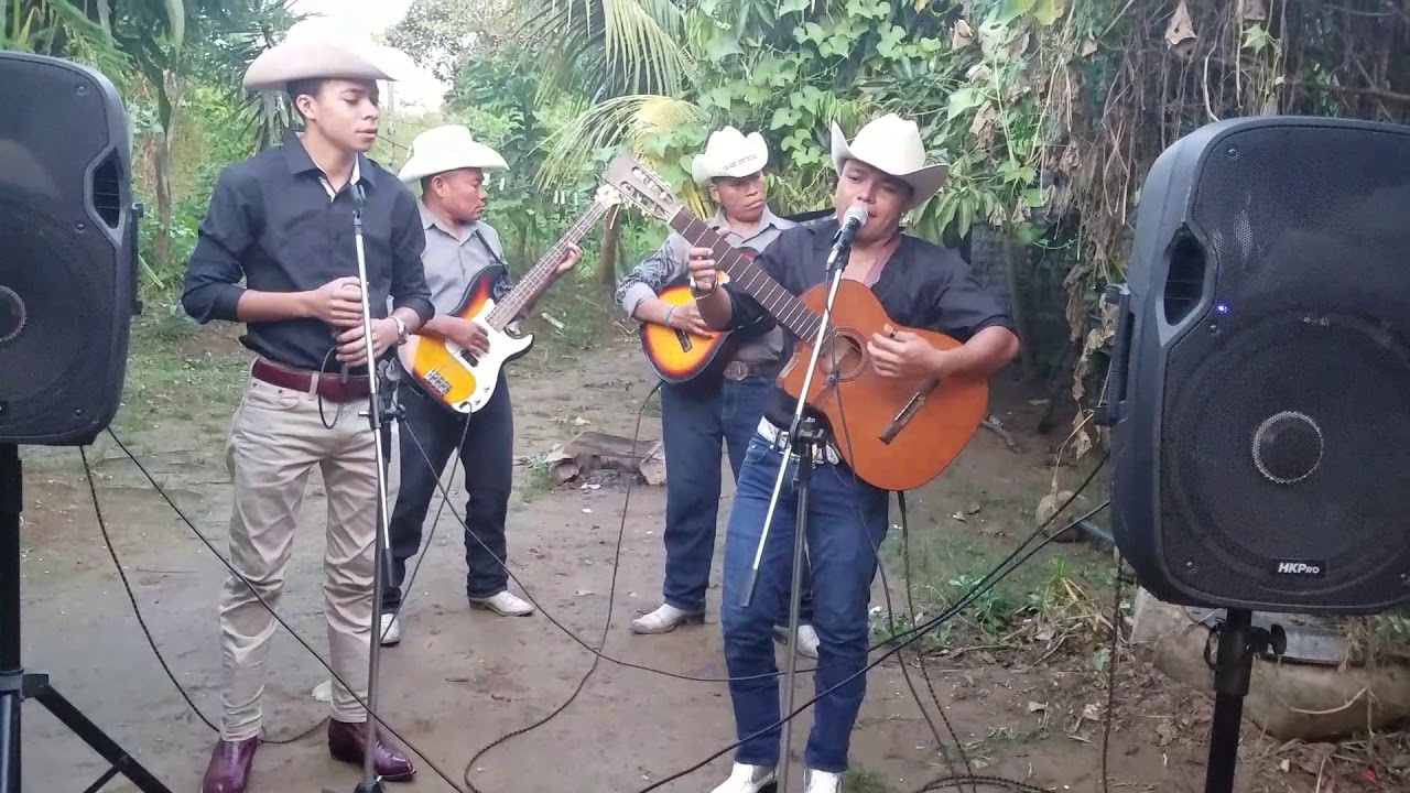 Corazon de perico