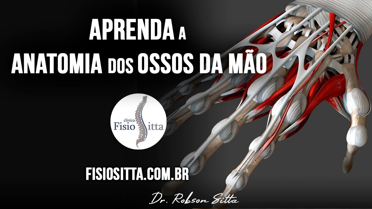 ANATOMIA da. M&Atilde;O e OSSOS CARPO METACARPO FALANGES v&iacute;deo aula Cl&iacute;nica de Fisioterapia Dr Robson Sitta
