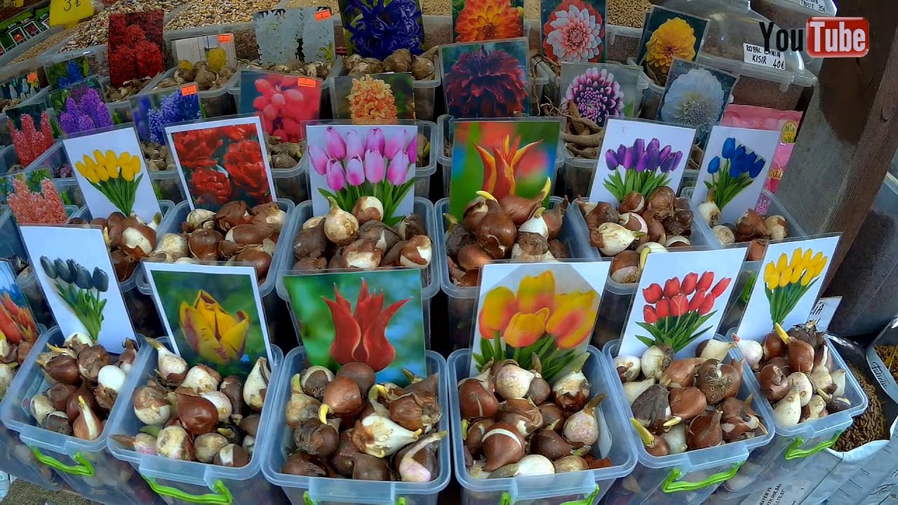 EMİNÖNÜ ÇİÇEKÇİLER ÇARŞISINA GİTTİK // ÇİÇEKLER VE FİYATLAR // MART 2020