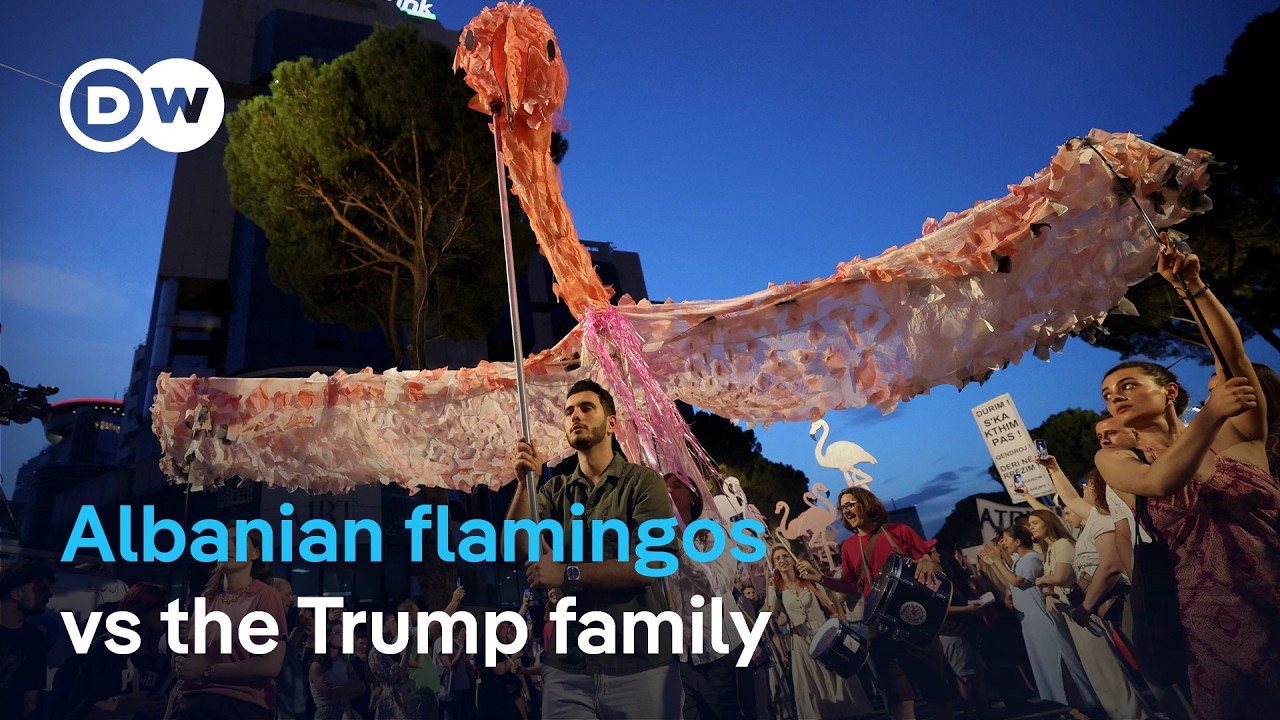 'Pink Flamingo' protesters in Tirana demand resignation of PM Edi Rama | DW News