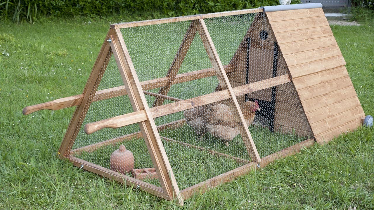 C&oacute;mo hacer un gallinero casero m&oacute;vil - Programa completo - Bricoman&iacute;a